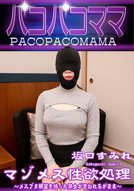 マゾメス性欲処理 坂口すみれ